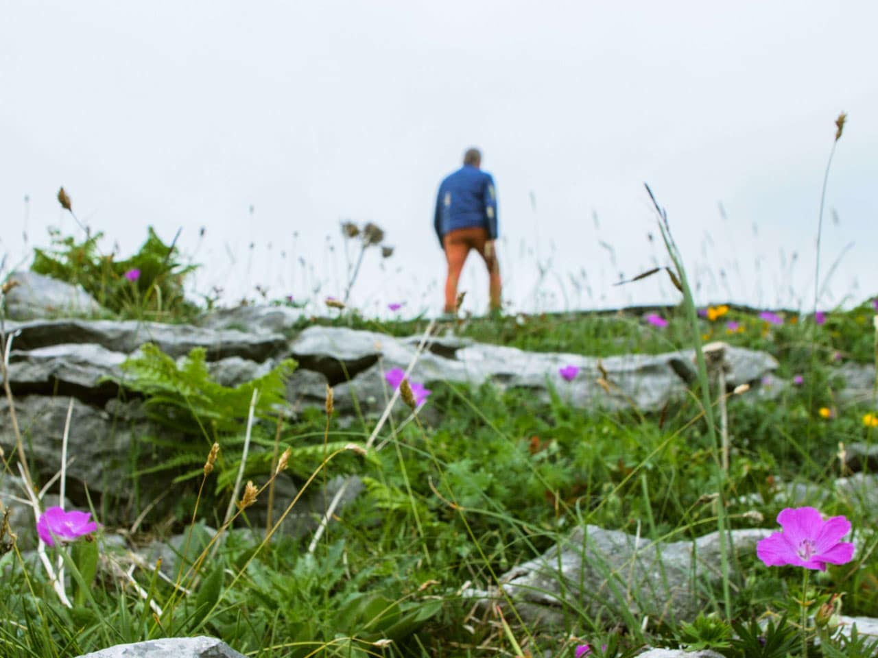 Our Top 5 Hiking Routes in the Burren, County Clare, Ireland